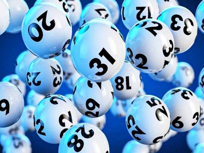 Trực Tiếp Đá Gà Thomo: Hành Trình Đam Mê Đầy Kịch Tính